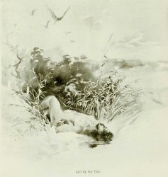 In: Joel Chandler Harris, 1894 Image