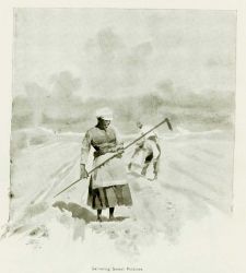In: Joel Chandler Harris, 1894 Image