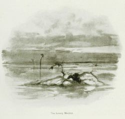 In: Joel Chandler Harris, 1894 Image