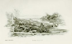 In: Joel Chandler Harris, 1894 Image