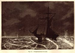 Phosphorescence on the sea Image
