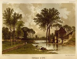 A beautiful summer day Image