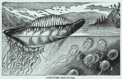 A very accurate depiction of a Portuguese man of war in: 