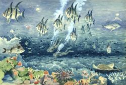 Diving on a coral reef Image