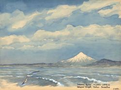 A wandering albatross graces the foreground of this image of a snow-capped volcano on the New Zealand coast. Image