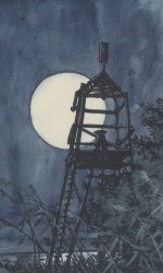 A survey tower with inner instrument stand. Image