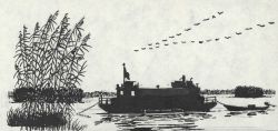 Pen and ink drawing of survey boat working in a marsh Image