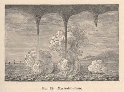 Astronomical Engravings Illustrating Solar Phenomena prepared at the Harvard Observatory under the direction of Joseph Winlock Image
