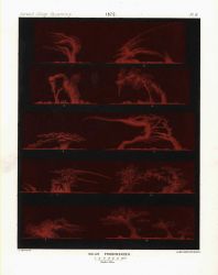 Astronomical Engravings Illustrating Solar Phenomena prepared at the Harvard Observatory under the direction of Joseph Winlock Image