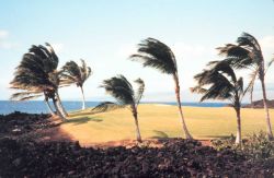 Golf course on the Kona coast Image