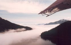 Flying over The Narrows at Port Frederick Image
