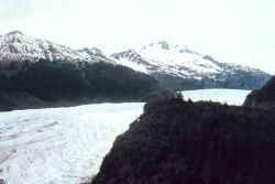 Mendenhall Glacier Image