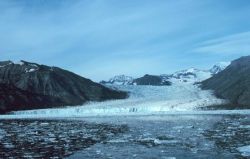 Guyot Glacier, Icy Bay Image