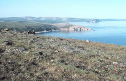 In the Pribilof Islands Image