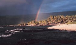 A double rainbow over palm trees on the coast Image