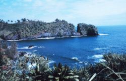 A coastal scene north of Hilo Image