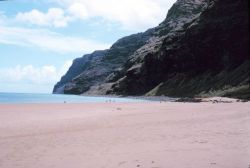 A beach on Kauai coast Image