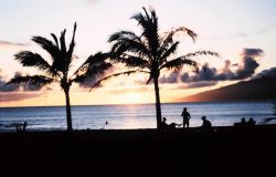 Napili Bay Image