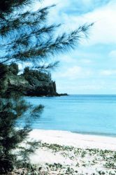 Kalihiwai Bay Image