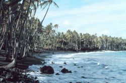 A black lava sand beach - since destroyed by lava flows. Image