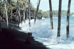 A black lava sand beach - since destroyed by lava flows. Image