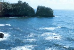 A coastal scene north of Hilo Image