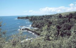 A coastal scene north of Hilo Image