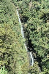 Akaka Falls Image