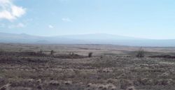 A near desert appearing scene south of the Kohala Mountains on the Parker Ranch. Image