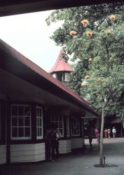 A scene in the town of Kona Image