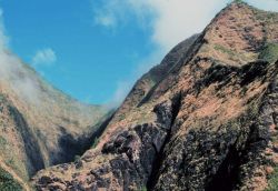 In the West Maui Mountains near the Iao Needle Image