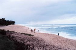 North shore surfing beach Image