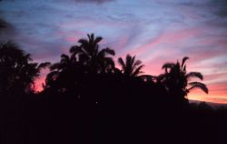 A Hilo sunset Image