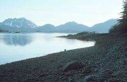 EXXON remedial vessels still working on beaches one year after the EXXON VALDEZ disaster. Image