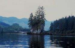 Small islet in Hobart Bay on east side of Stephens Passage Image