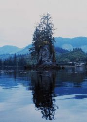 Small islet in Hobart Bay on east side of Stephens Passage Image