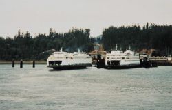 Puget Sound ferry boats Image