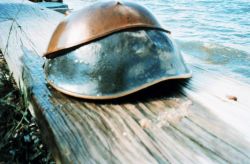 Dead, half-shed horseshoe crab. Image