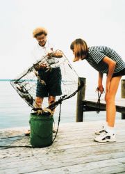 Emptying a crab pot Image