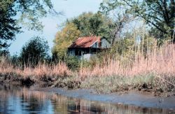 Muddy shoreline next to an abandoned shack Image