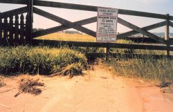 Erosion - ironically below a sign stating boat speed limit to minimize wake and erosion. Image
