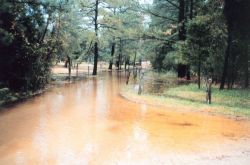 Flooding of low-lying areas by extreme high tides Image