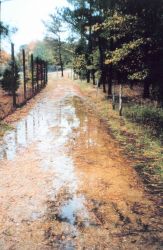 Flooding of low-lying areas by extreme high tides Image