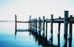 Ice marks the high tide line on these pier pilings. Image