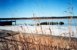 Ice along the shore at the old steamboat landing at Holland Cliffs Shores. Image