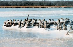Ice at old steamboat landing and covering the river at Holland Cliffs Shores. Image
