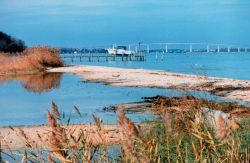 Mouth of a tidal pond has been closed up by a series of storms and high tides Image