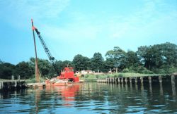 Further loss of natural shoreline occurs as new boat ramps are constructed Image