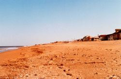Summer homes on a deserted winter beach Image