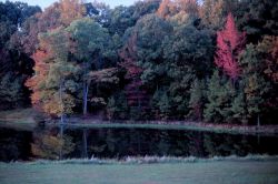 Fall colors grace St Image